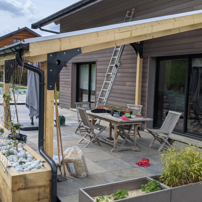 Appentis Bois Métal Végétal