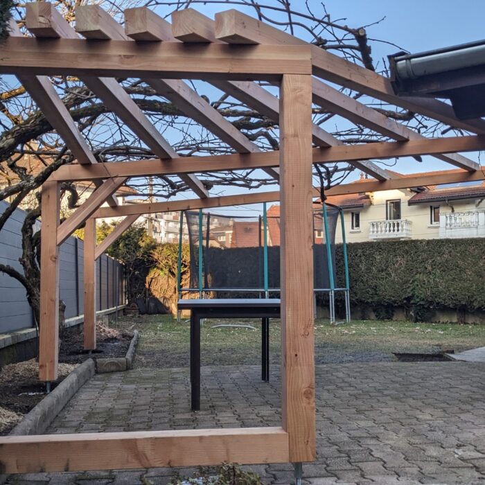 Pergola et tuteur d’Actinidia .. ou arbres à kiwis